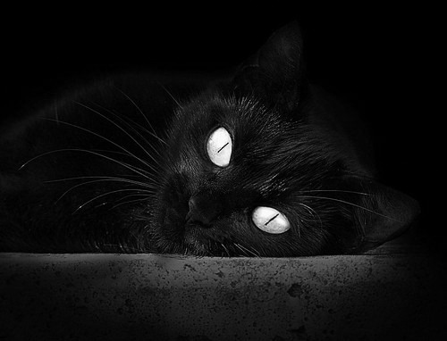 “青春动感”青少年篮球舞蹈比赛在江苏盛大举行,篮球舞蹈表演