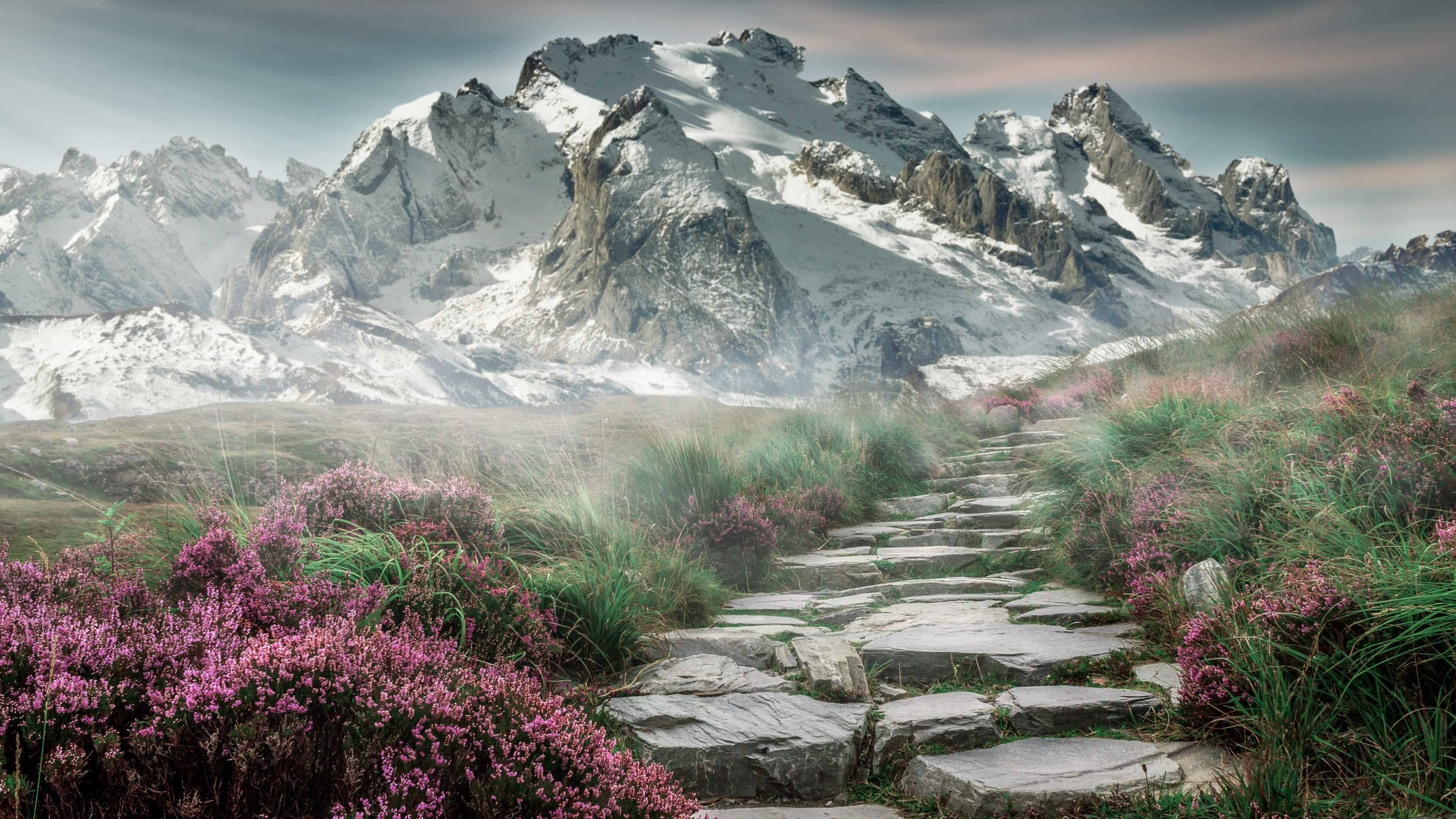 “未来之星”青少年篮球明星培养工程在湖北全面铺开,助推青训产业发展